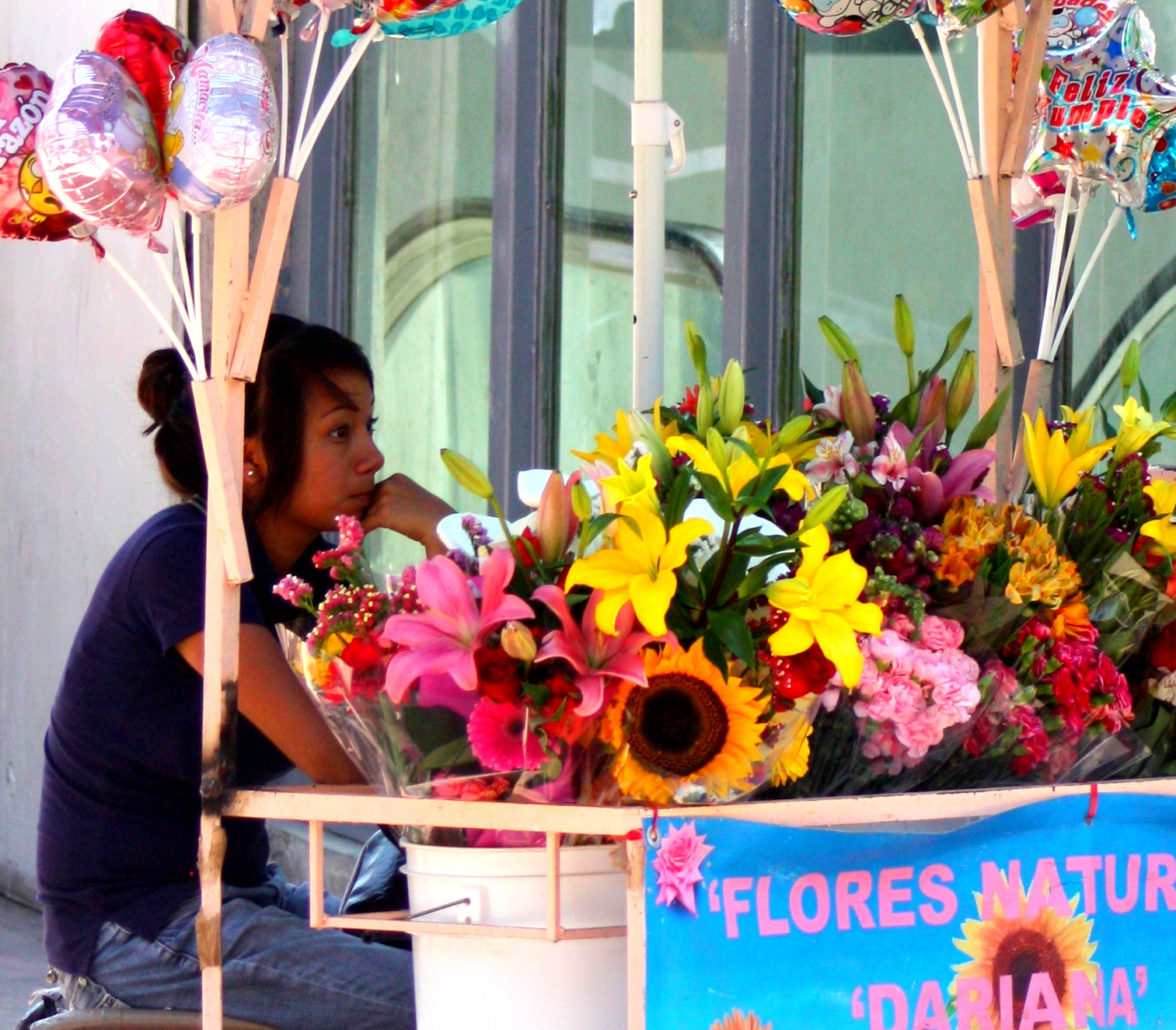 Flower merchant, Guadalajara's Parque Revolución.